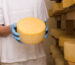 cuajo microbiano